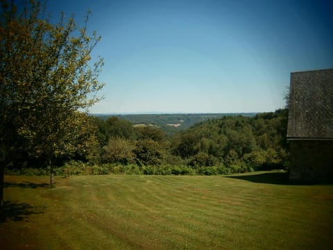 Garden, Mountain view