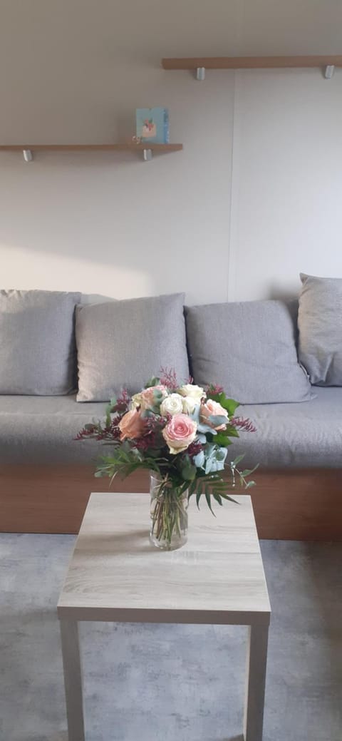 Mobil-home 28 m2, 2 chambres et terrasse Campground/
RV Resort in Douarnenez