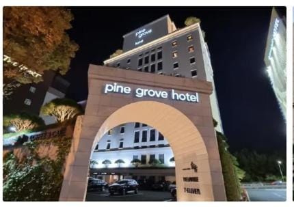 Pinegrove Hotel Hotel in Busan