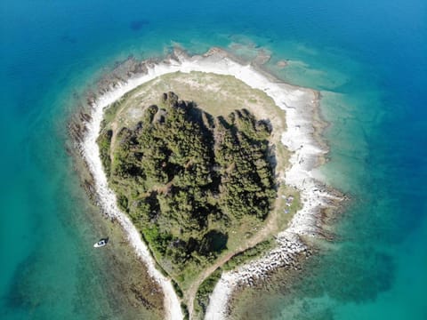 Bird's eye view, Beach