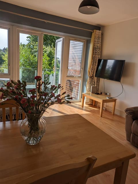 Latin Quarter Cosy Apartment Apartment in Galway