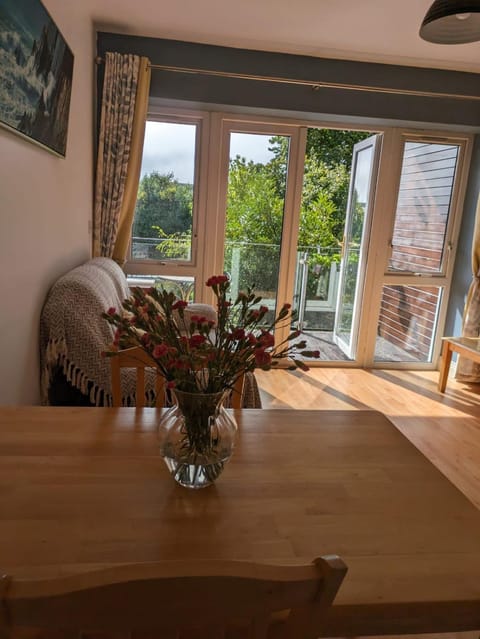 Latin Quarter Cosy Apartment Apartment in Galway