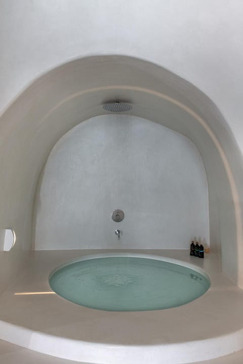 Andronis Luxury Suites Hotel in Oia
