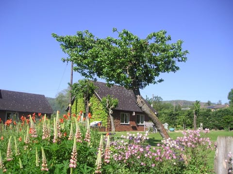 Property building, Natural landscape, Garden, Garden view