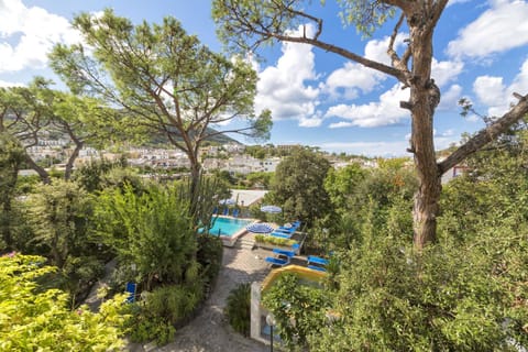 Garden, Pool view, Swimming pool