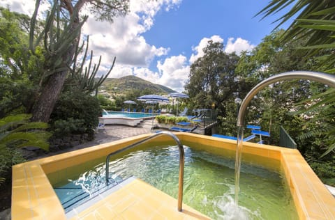 Hot Spring Bath, Pool view, Swimming pool