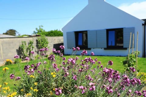 Patio, Garden, Garden view