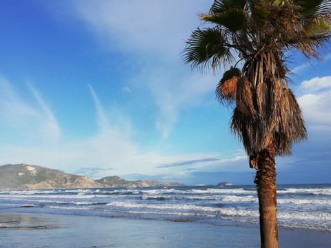 Natural landscape, Beach