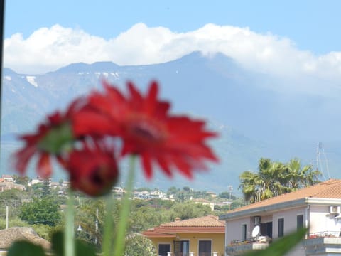 Villa Sciare Modò Appart-hôtel in Acireale
