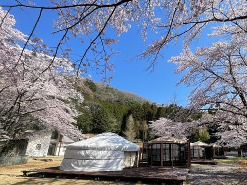 Spring, Day, Natural landscape