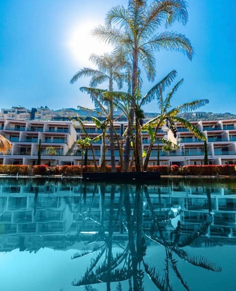 Property building, Day, Natural landscape, Pool view, Swimming pool