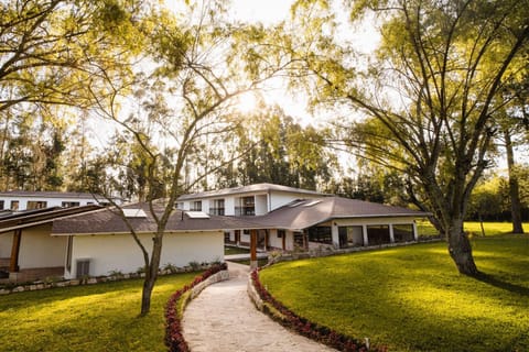 Natural landscape, Garden view