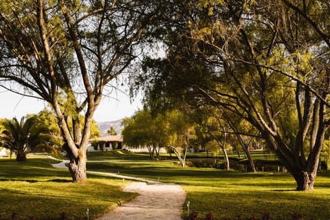 Natural landscape, Garden view