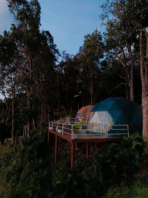 Patio, View (from property/room), Balcony/Terrace, Garden view