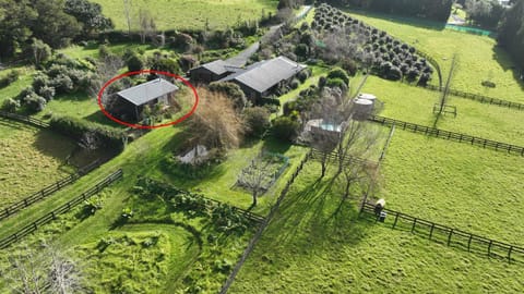 Bird's eye view, View (from property/room), Area and facilities