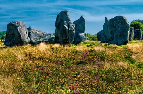 Nearby landmark, Natural landscape