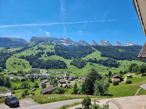 Mountain view