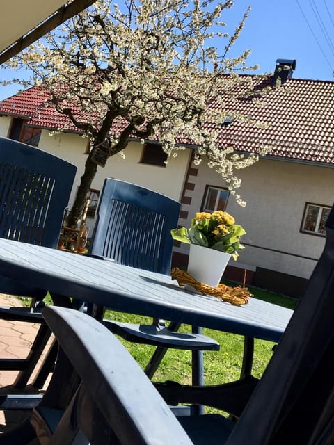 Ferienwohnung Wippenreute Apartamento in Ravensburg