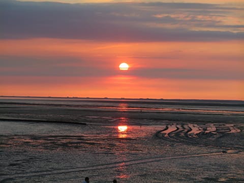 Natural landscape, Summer, Beach, Sunset