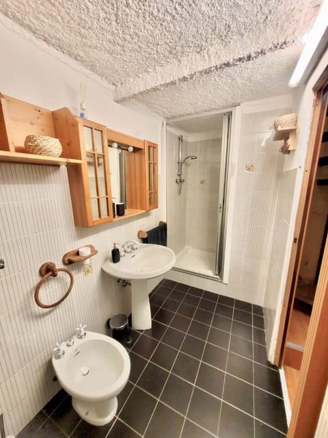 Shower, Toilet, Bathroom, bidet