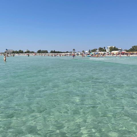 Natural landscape, Beach, Beach