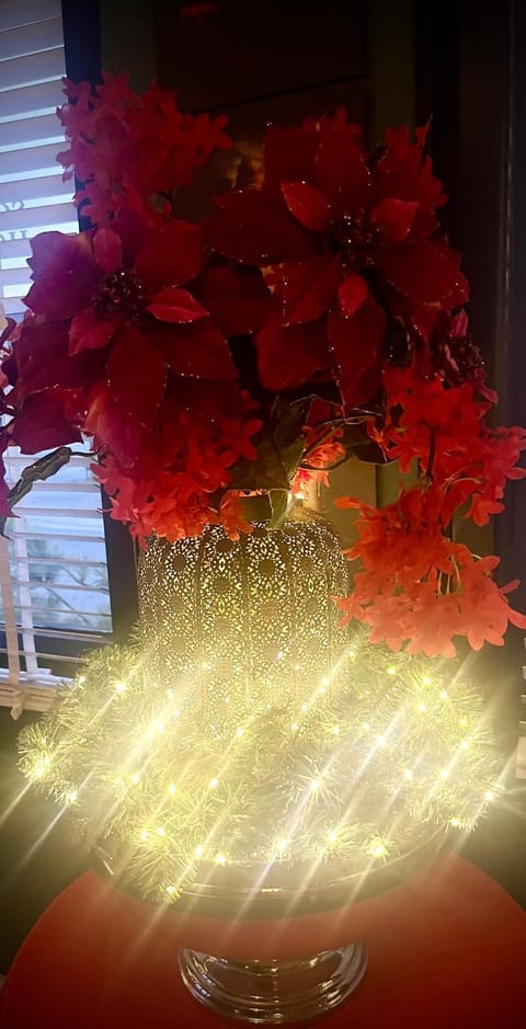 Huyze-peppins Bed and Breakfast in Zeeland, Netherlands