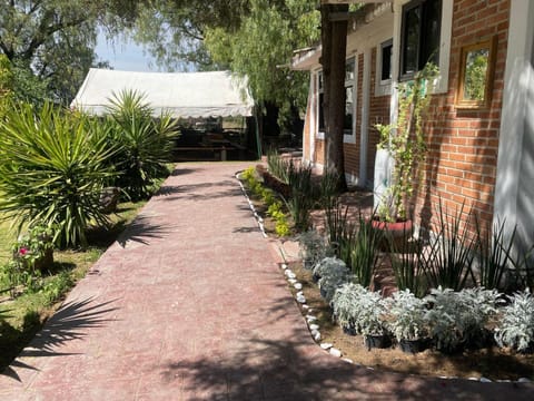 Telpochcalli Hotel & Temazcal Hotel in Hidalgo, Mexico