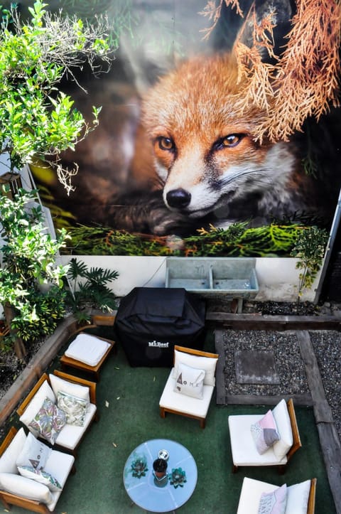 The Fox Hostel Bed and Breakfast in Recoleta