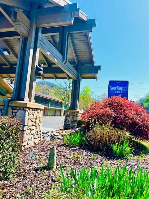 Property building, Garden view