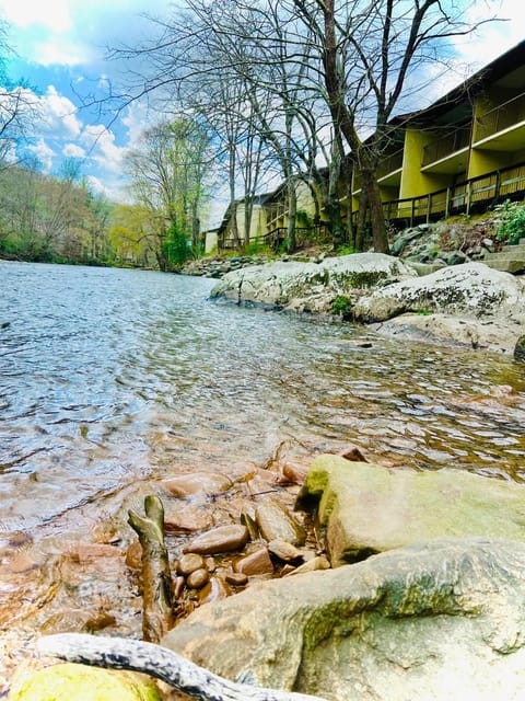 Natural landscape, River view