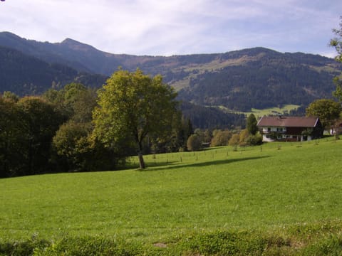 View (from property/room)