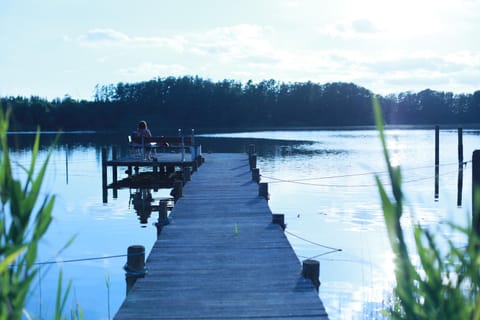 Lake view