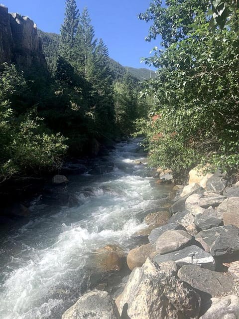Romantic Hideaway Cottage on Clear Creek in Georgetown, Colorado House in Georgetown