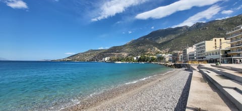 LARIX luxury APARTMENTS Apartment in Euboea