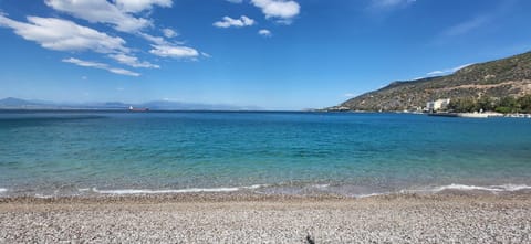 LARIX luxury APARTMENTS Apartment in Euboea