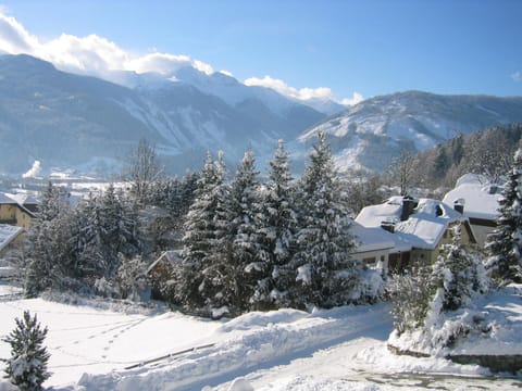 Day, Winter, Mountain view