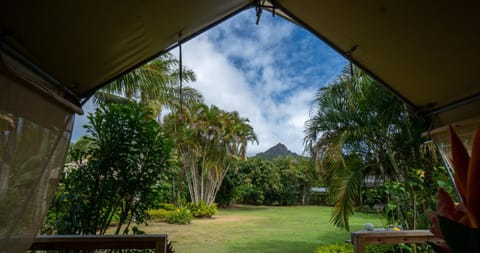 Ikurangi Eco Retreat Luxury tent in Avarua District