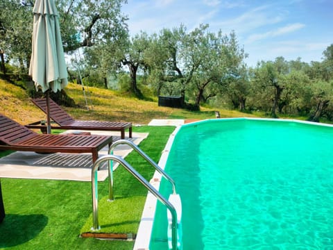 Swimming pool, sunbed