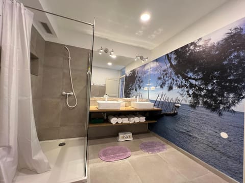 Villa Rafaela Umag Villa in Istria County