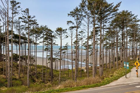 Neighbourhood, Natural landscape, Beach, Sea view