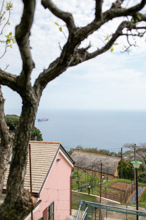Sea view