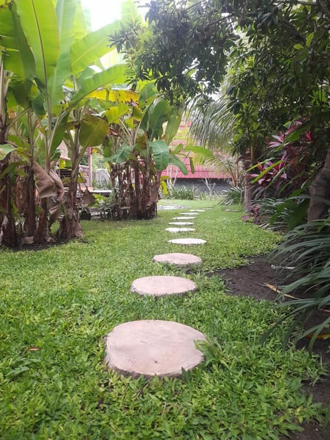 Yuda Menjangan Homestay Vacation rental in Bali