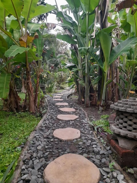 Yuda Menjangan Homestay Vacation rental in Bali