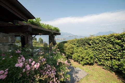 Patio, Garden, Garden view