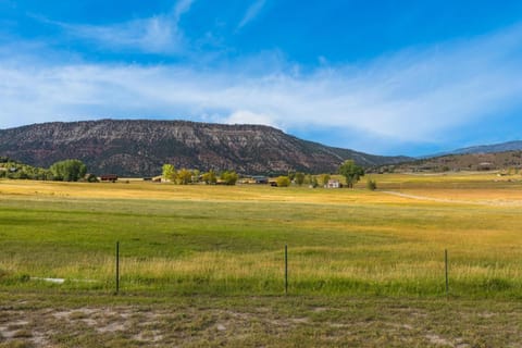 323 N Amelia House in Ridgway