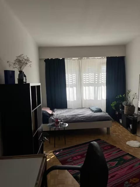 A cute room with 1,5 bed in shared flat Bed and Breakfast in Nidwalden