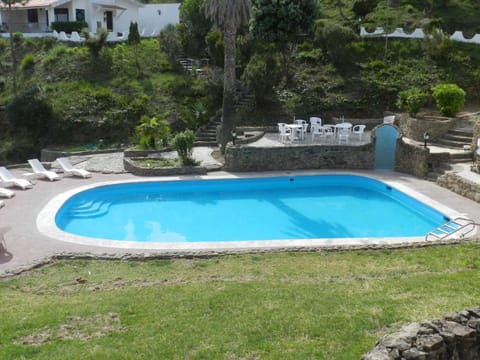 Day, Garden, Swimming pool