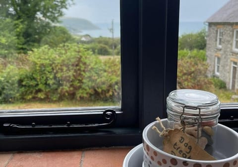 Helyg Cottage House in Penbryn