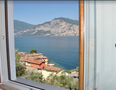 Lake view