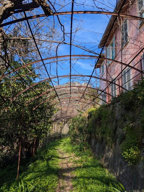 Garden, Garden view